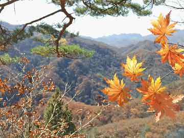 打胎药微信上哪里买“奔县游”火热，激发县域经济新动能